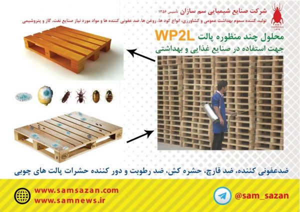 Wooden Pallet Disinfectant, Clanser and Preservative - poster